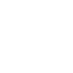 Logo Youtube